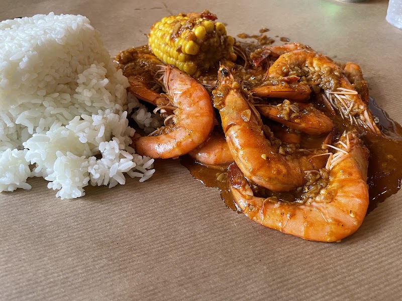 Shrimp Anatomy