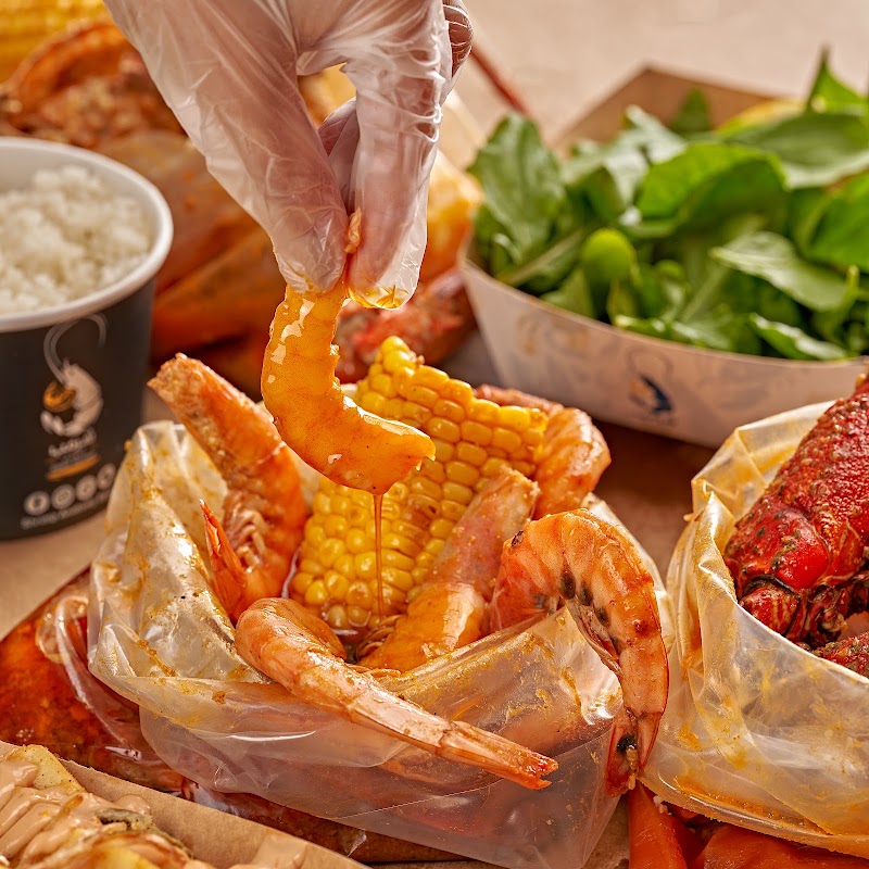 Shrimp Anatomy