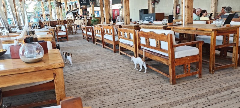Caribbean Bar