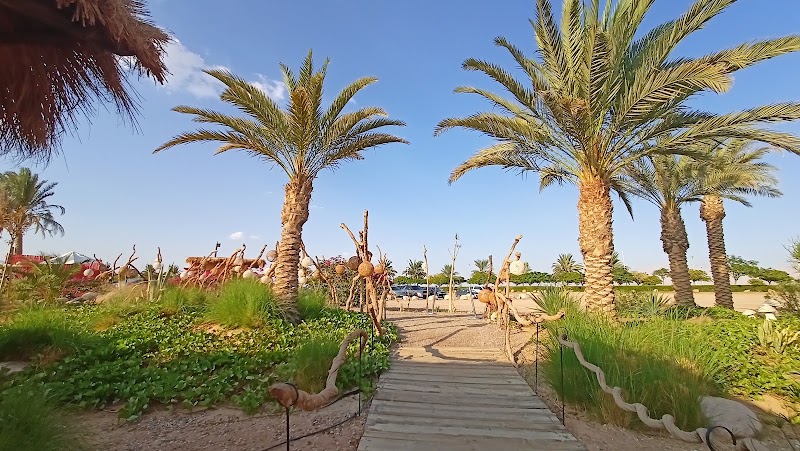 B12 | Beach Club | Ayla Aqaba