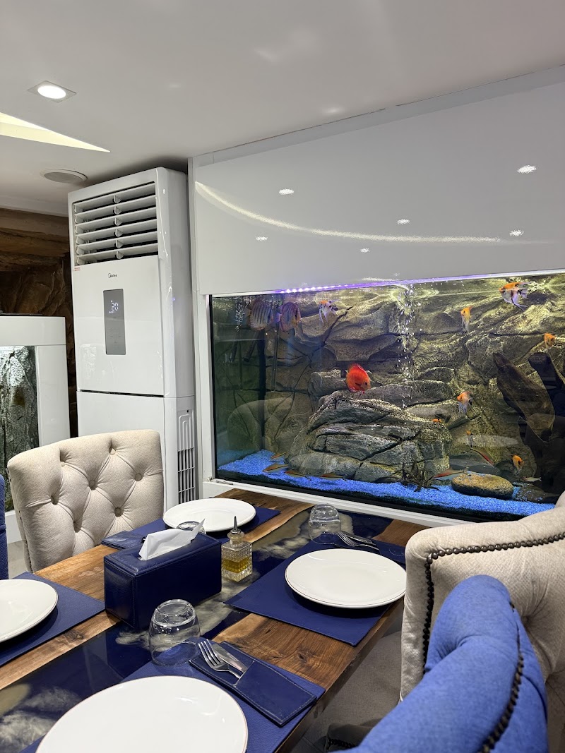 L'Aquarium Blue