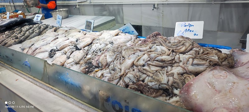 Algiers fish market