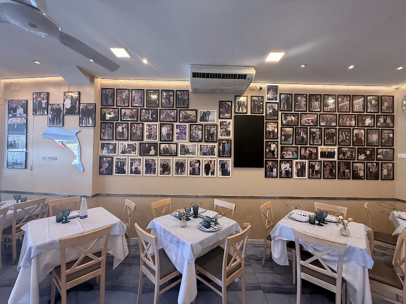 Il Delfino Ristorante Trattoria