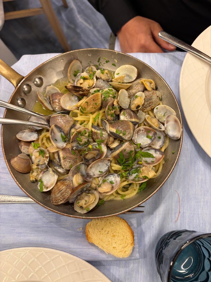 Il Delfino Ristorante Trattoria