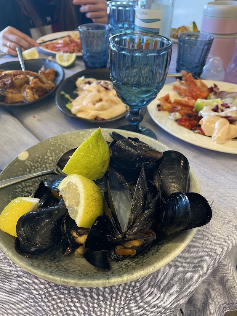 Il Delfino Ristorante Trattoria