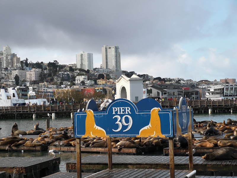 PIER 39