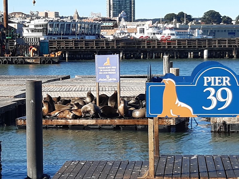 PIER 39