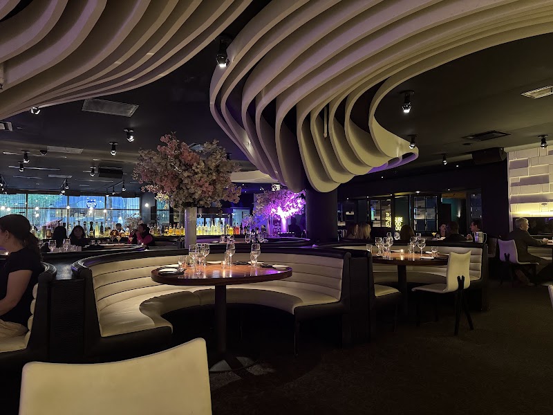 STK Steakhouse