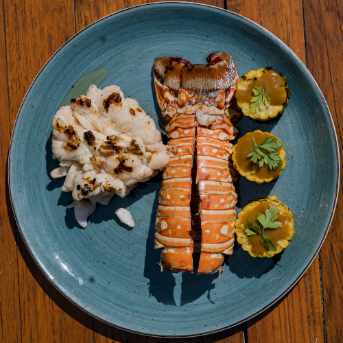 Fred's | The best seafood in Cancun