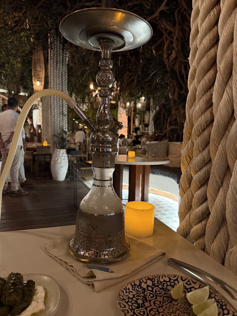Ilios | Greek restaurant in Tulum
