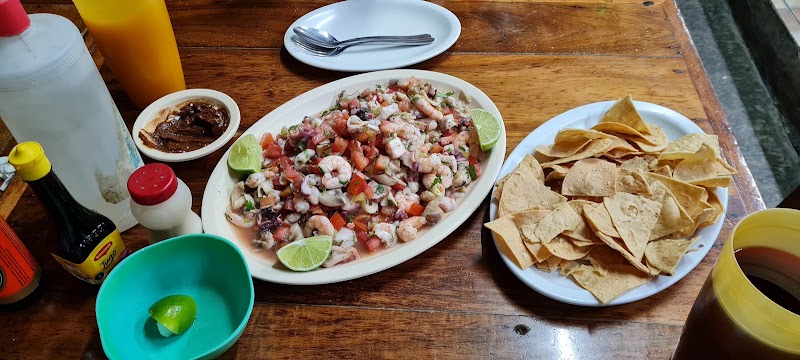 El Camello Jr.