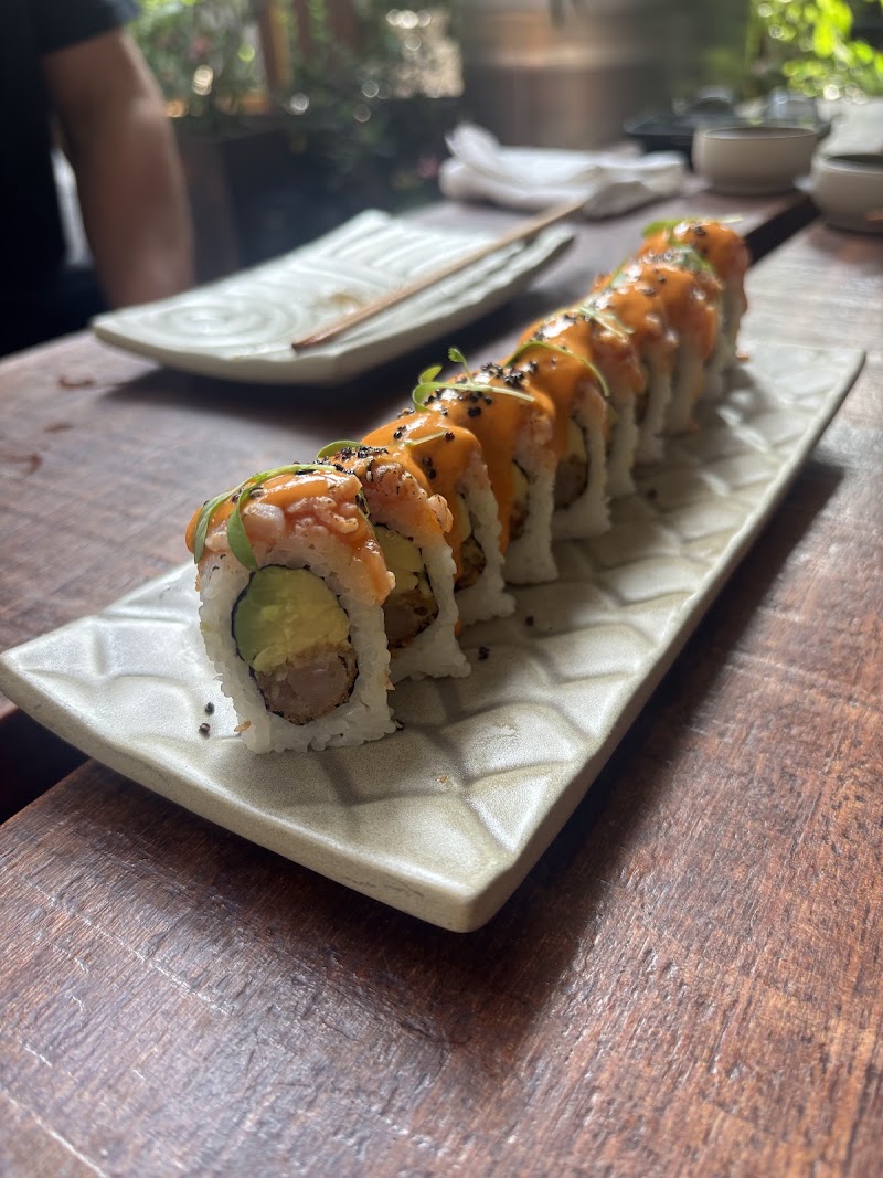 Osaka Pardo y Aliaga