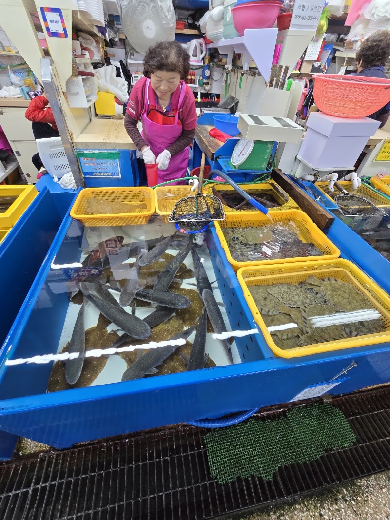 Millac Live Fish Sashimi Market