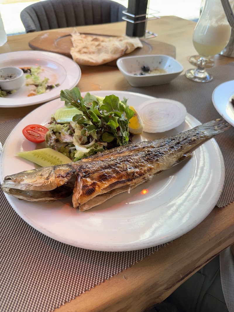 Las Tapas restaurant (türkish cuisine)