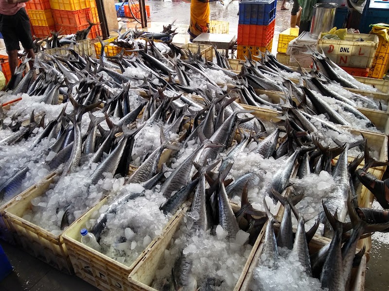 Sassoon Dock