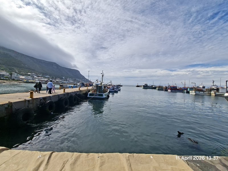 Harbour House Kalk Bay