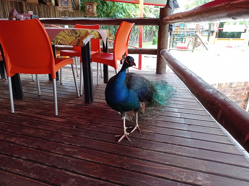 Mozambik Linksfield