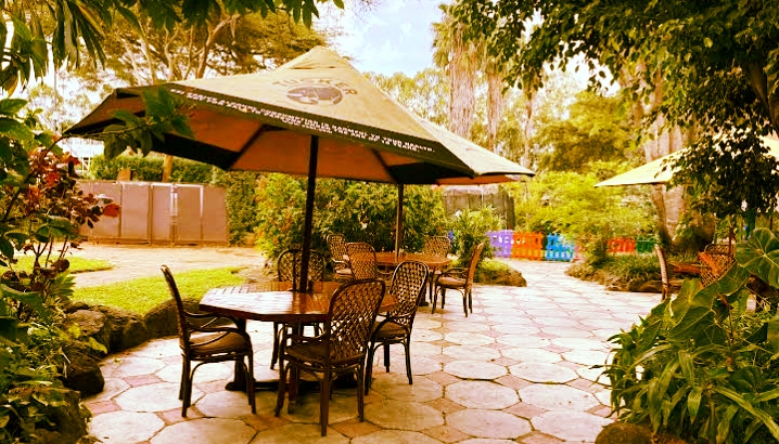 The Carnivore Restaurant