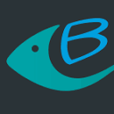 BigFish Brand logo