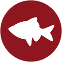 Dagens Fisk logo
