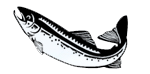 Grimsby Fish Service Ltd logo