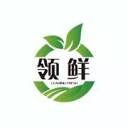 Leading fresh logo