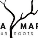 Mboa Market logo