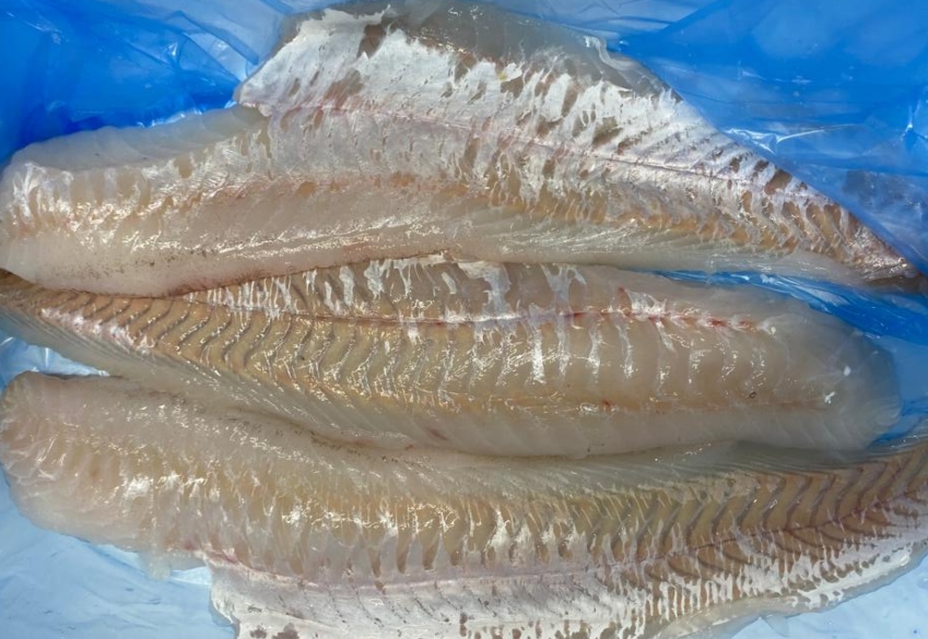 Wild Domestic Hake