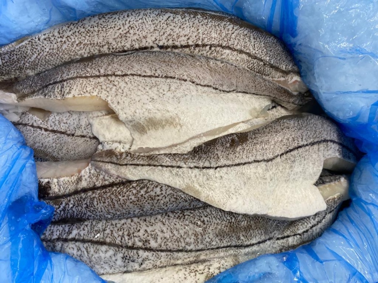 Wild Domestic Haddock
