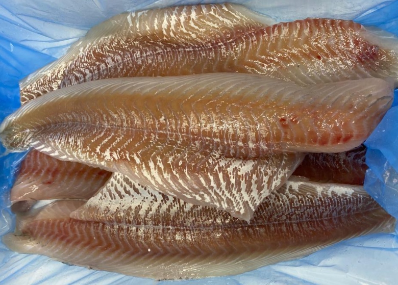 Wild Atlantic Pollock