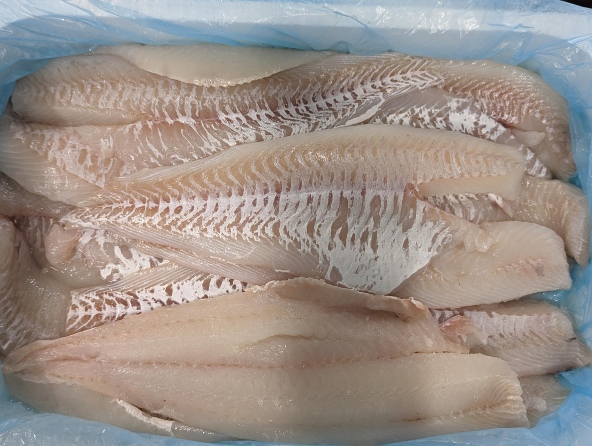 Wild Icelandic Haddock