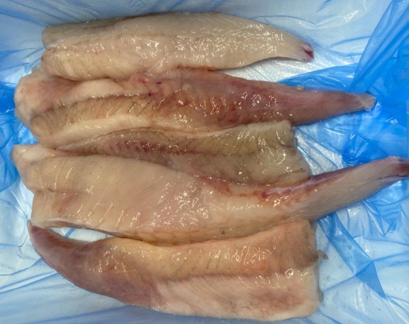 Wild Monkfish