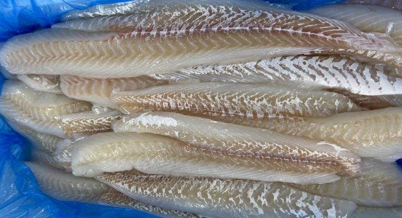 Wild Icelandic Cod