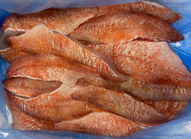 Wild Ocean Perch