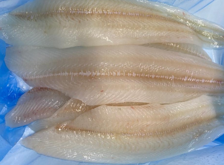 Flounder & Sole
