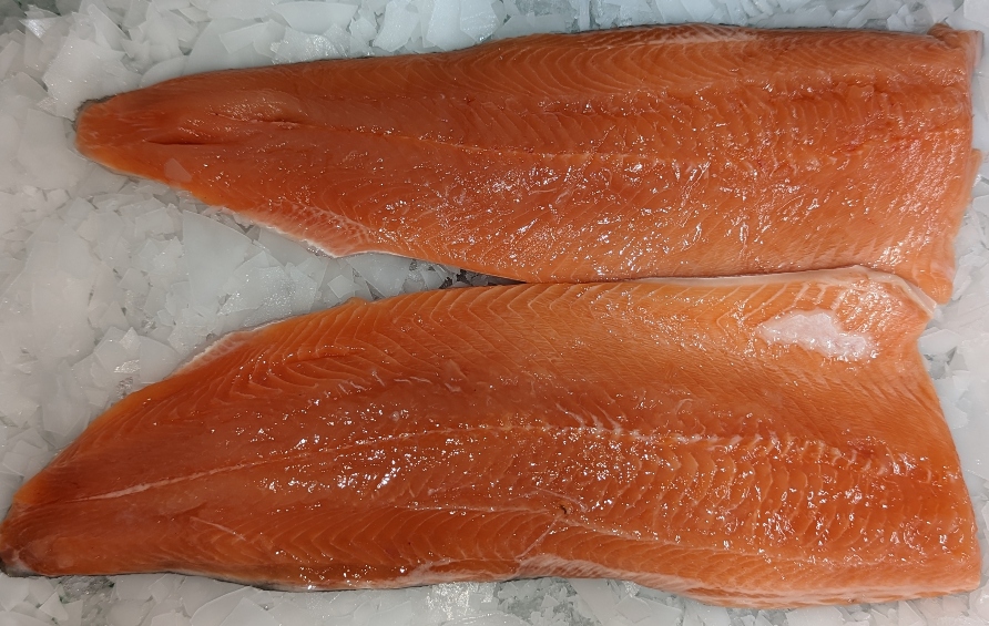 Wild Swordfish