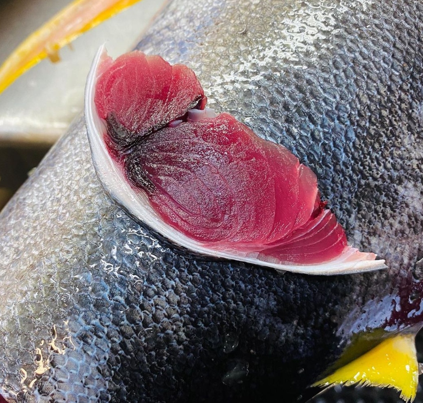 Farm-Raised Atlantic Salmon