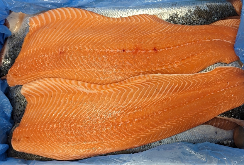 Farm-Raised Icelandic Arctic Char
